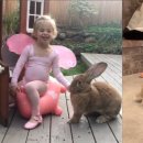 토끼식탁 이미지