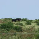 사우스포인트 이미지