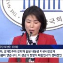 대한민국 '헌법'(憲法, Constitution) 변천사에 대한 고찰 이미지