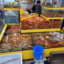 대성수산14호 이미지