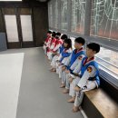 타이거즈 태권도 이미지