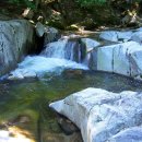 제517차 : 강원 강릉 &#34;대관령 옛길 트레킹&#34; (2025. 08. 16) 이미지