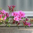 관악구민체육센터 이미지