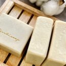 벨하이솝 이미지