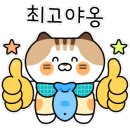 상당참숯소갈비살