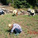 중문요양원 이미지