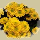 삼태기길 이미지