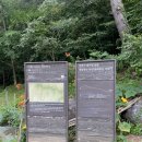 개인약수산방 네이버블로그