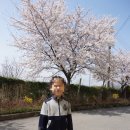 인스나인유치원 이미지