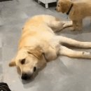 업로드PC방 이미지