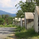 계곡과느티나무 캠핑장 이미지