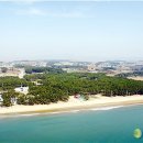 몽산포 송림 이미지