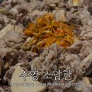 소담한 | 수영역 고기집추천 ㅣ 수영동 대패삼겹살맛집 수영 소담한제주대패삼겹 후기