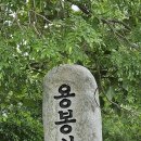 용봉초등학교옆 Daum카페