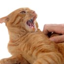 괴정동물병원 이미지