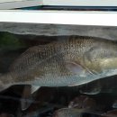 거제다대횟집 이미지