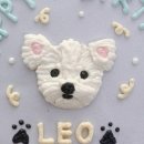 페리토리 이미지