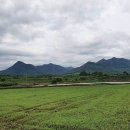 [경상도의 숨은 명산 의성 금성산] 한반도에서 가장 오래된 死火山 이미지