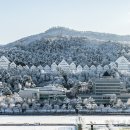 조선대학교 이미지