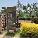 타워 당구장 | [내돈내산] 진도 쏠비치 리조트 C타워 스위트오션뷰 후기