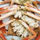 더비치횟집 이미지