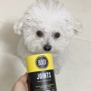 영지메디컬 이미지