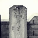 다호마을 이미지