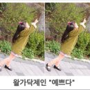 왈가닥제인 네이버블로그
