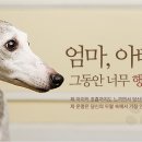 (주)야옹아멍멍해봐펫 네이버블로그