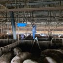 진기농장 이미지