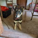 소답동225 이미지