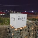 벨진우영