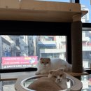 다다민박 이미지