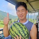 영일만 행정사 이미지