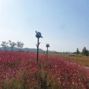 생태습지 이미지