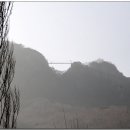 용문초등학교 이미지