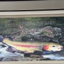 참샘송어 직판장 이미지