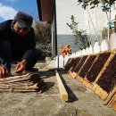 당사도민박 이미지