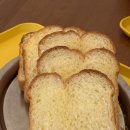 하레하레 이미지