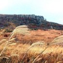 리버사이드빌딩앞 이미지