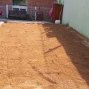 위즈숲유치원 이미지