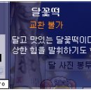 달꽃