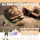 성남동중학교 | 성남 동물원 맛집 애니멀존 솔직후기