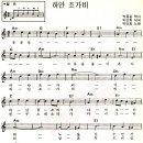 조가비 Daum카페