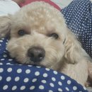 대경석유 이미지