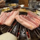 생포탄 이미지