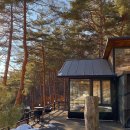 별들의 기침 이미지