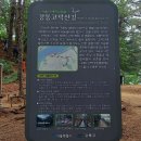 광주이씨광릉부원군파묘역 | 서울둘레길 고덕산코스 [2025년 5월24일,토요일]
