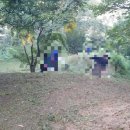 구미장의사