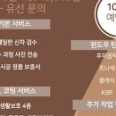 엔틴트